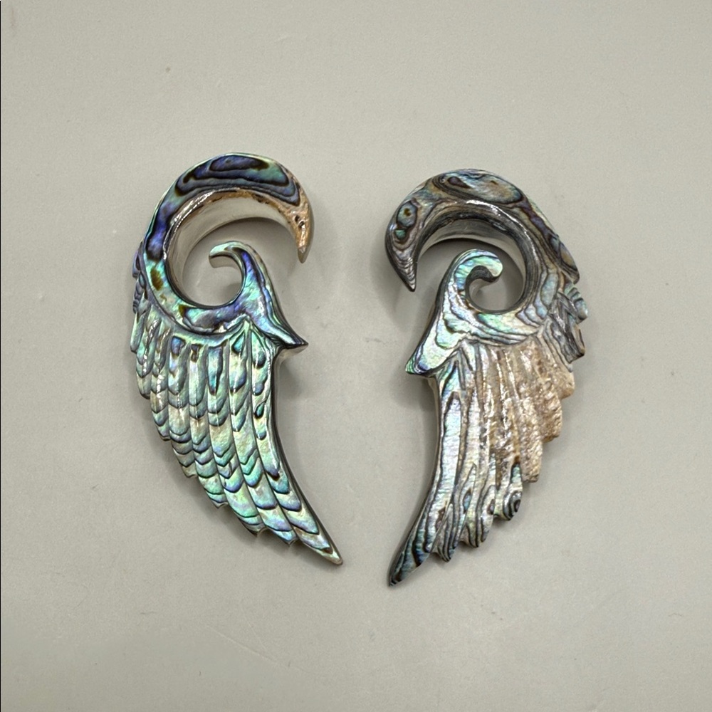 Iridescent Abalone Shell Tapers Dangle Drop State… - image 1